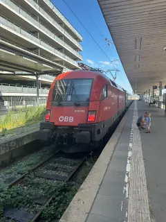 91 81 1016 015-0