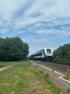 245 207-6