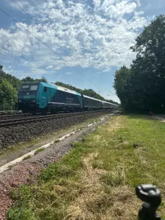 245 212-6