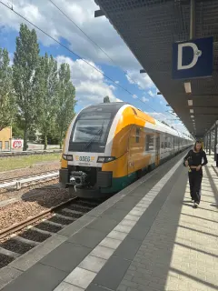 3462 005-4