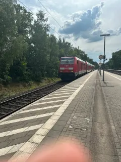 245 005-4